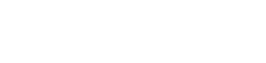 Мы разрабатываем сайты на Wordpress